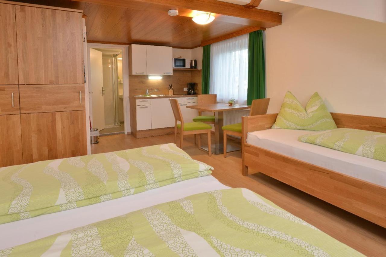 Appartements Frauenschuh Schladming Zewnętrze zdjęcie